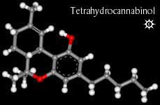 Pic of THC Molecule